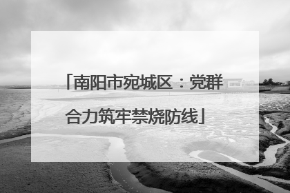 南阳市宛城区：党群合力筑牢禁烧防线