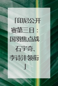 印尼公开赛第三日：国羽焦点战 石宇奇、李诗沣领衔
