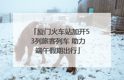 厦门火车站加开53列旅客列车 助力端午假期出行