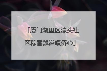 厦门湖里区濠头社区粽香飘溢暖侨心