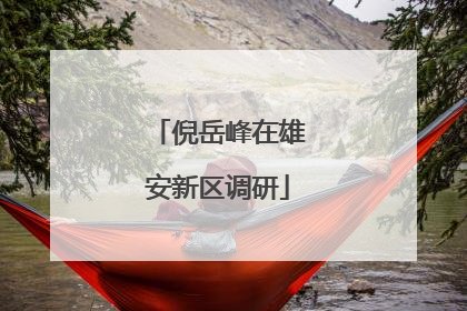倪岳峰在雄安新区调研