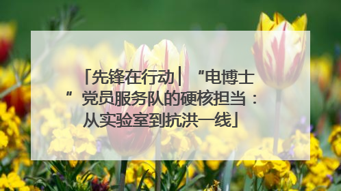 先锋在行动 ▏“电博士”党员服务队的硬核担当：从实验室到抗洪一线