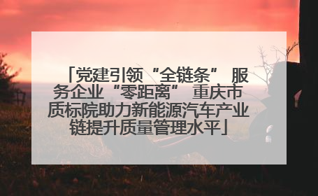 党建引领“全链条” 服务企业“零距离” 重庆市质标院助力新能源汽车产业链提升质量管理水平