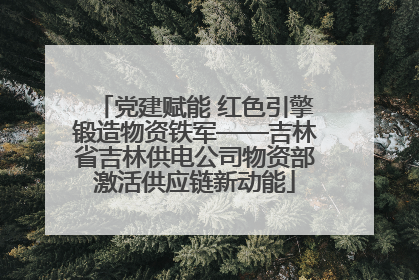 党建赋能 红色引擎锻造物资铁军——吉林省吉林供电公司物资部激活供应链新动能