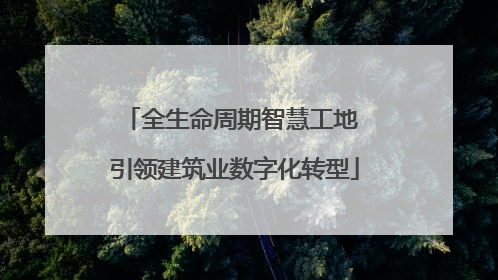全生命周期智慧工地 引领建筑业数字化转型