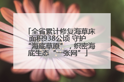 全省累计修复海草床面积938公顷 守护“海底草原”，织密海底生态“一张网”