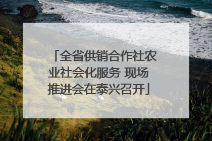 全省供销合作社农业社会化服务 现场推进会在泰兴召开