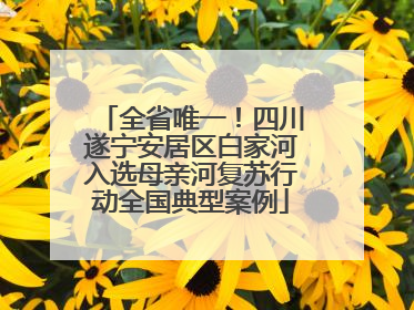 全省唯一！四川遂宁安居区白家河入选母亲河复苏行动全国典型案例