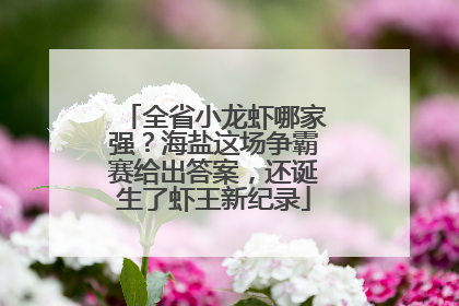 全省小龙虾哪家强？海盐这场争霸赛给出答案，还诞生了虾王新纪录