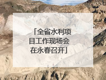全省水利项目工作现场会在永春召开