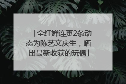 全红婵连更2条动态为陈艺文庆生，晒出最新收获的玩偶