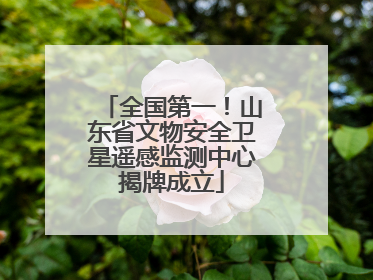 全国第一！山东省文物安全卫星遥感监测中心揭牌成立
