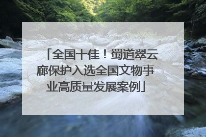 全国十佳！蜀道翠云廊保护入选全国文物事业高质量发展案例