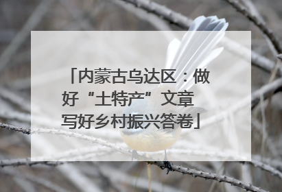 内蒙古乌达区：做好“土特产”文章 写好乡村振兴答卷