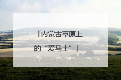 内蒙古草原上的“爱马士”
