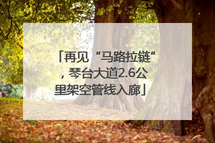 再见“马路拉链”，琴台大道2.6公里架空管线入廊