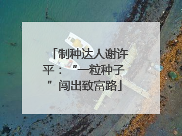 制种达人谢许平：“一粒种子”闯出致富路