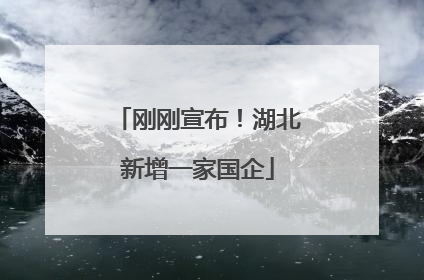 刚刚宣布！湖北新增一家国企