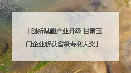 创新赋能产业升级 甘肃玉门企业斩获省级专利大奖