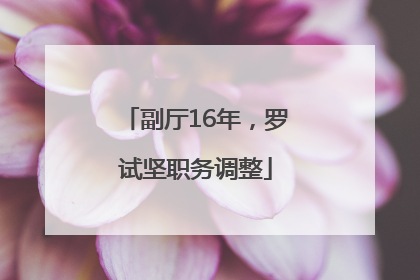 副厅16年，罗试坚职务调整