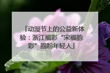 动漫节上的公益新体验：浙江福彩“宋福韵彩”圈粉年轻人