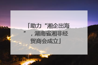 助力“湘企出海”，湖南省湘非经贸商会成立