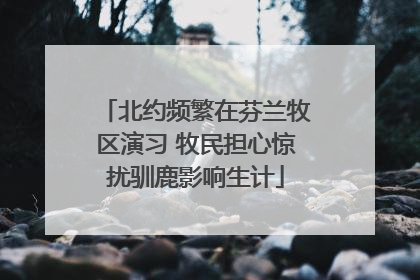 北约频繁在芬兰牧区演习 牧民担心惊扰驯鹿影响生计