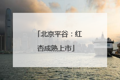 北京平谷：红杏成熟上市
