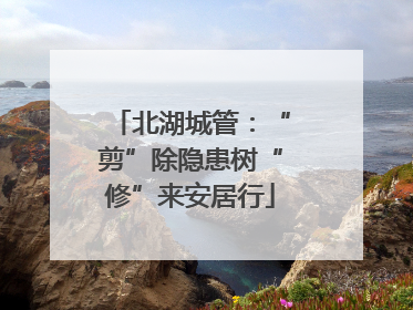 北湖城管：“剪”除隐患树“修”来安居行