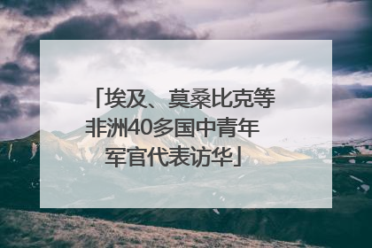 埃及、莫桑比克等非洲40多国中青年军官代表访华