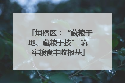 埇桥区：“藏粮于地、藏粮于技” 筑牢粮食丰收根基