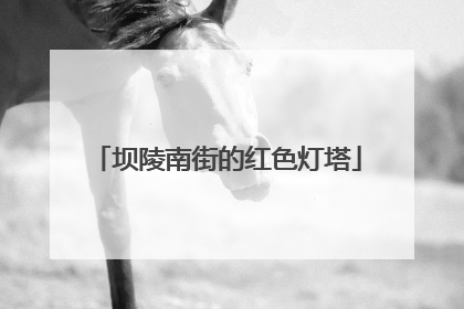 坝陵南街的红色灯塔