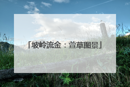 坡岭流金：萱草图景