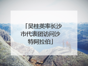 吴桂英率长沙市代表团访问沙特阿拉伯