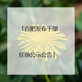 合肥发布干部任前公示公告