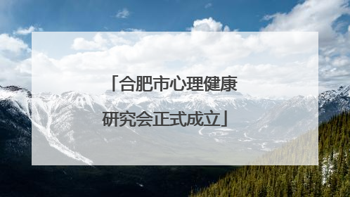 合肥市心理健康研究会正式成立