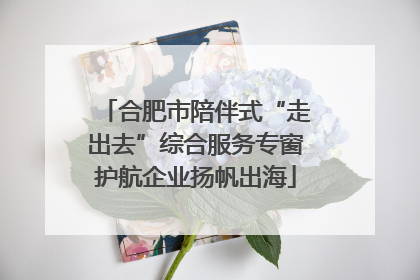 合肥市陪伴式“走出去”综合服务专窗护航企业扬帆出海