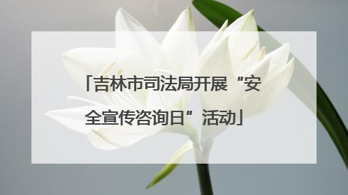 吉林市司法局开展“安全宣传咨询日”活动
