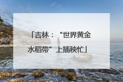 吉林：“世界黄金水稻带”上插秧忙