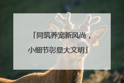 同筑养宠新风尚，小细节彰显大文明