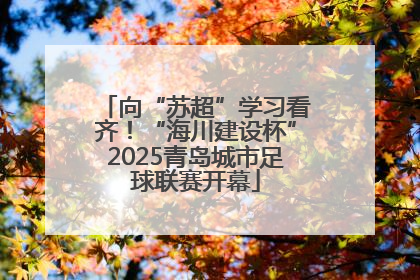 向“苏超”学习看齐！“海川建设杯”2025青岛城市足球联赛开幕