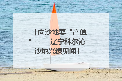 向沙地要“产值”——辽宁科尔沁沙地兴绿见闻