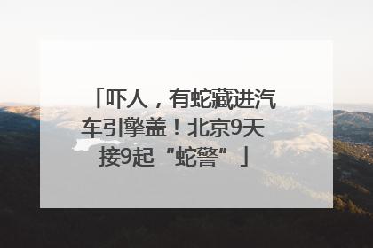 吓人，有蛇藏进汽车引擎盖！北京9天接9起“蛇警”