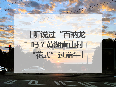 听说过“百衲龙”吗？黄湖青山村“花式”过端午