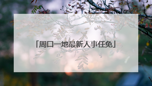 周口一地最新人事任免