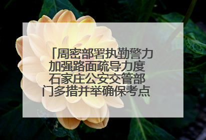 周密部署执勤警力 加强路面疏导力度 石家庄公安交管部门多措并举确保考点周边交通环境良好
