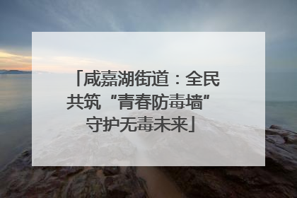 咸嘉湖街道：全民共筑“青春防毒墙” 守护无毒未来