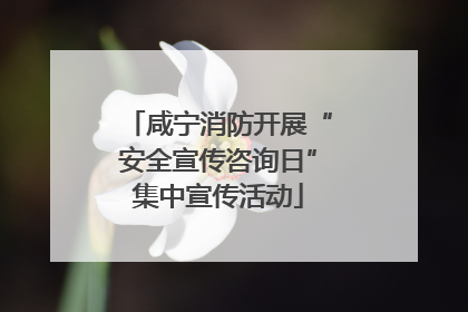 咸宁消防开展“安全宣传咨询日”集中宣传活动