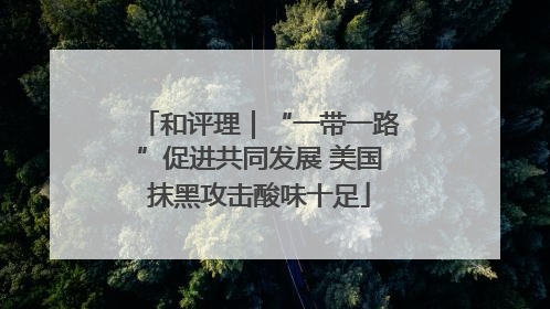 和评理｜“一带一路”促进共同发展 美国抹黑攻击酸味十足