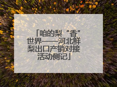 咱的梨“香”世界——河北鲜梨出口产销对接活动侧记